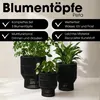 Mica Decorations Peta Supports pour plantes – Lot de 3 – Voir les images du produit 2