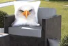 MuchoWow® Outdoor Kissen - Jungen - Adler - Amerikanischer Produktbild-Vorschau 5