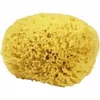 Croll & Denecke spugna naturale 14cm M140 Anteprima dell’immagine prodotto 2