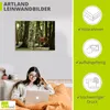 ARTland Leinwandbild Hirsch 4 - Wald Größe: 80x60 cm Produktbild-Vorschau 3