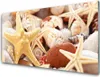 Acrylglasbilder 100x50 Wandbild Druck Seesterne Muscheln Produktbild-Vorschau 1