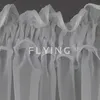 Fertiggardine Fenster Gardine aus Voile mit Faltenband Produktbild-Vorschau 3