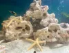Pierres décoratives pour aquarium - Calcaire d'aquarium des Voir les images du produit 10