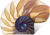 MuchoWow® - Aufkleber Produktbild-Vorschau 1