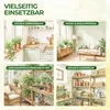 Fenster Trauermückenfalle mit Spezial-Lockstoff – 18x Produktbild-Vorschau 4