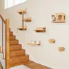 COSTWAY 6 PCS Mur d'escalade pour chats, arbre à chat avec Voir les images du produit 2