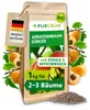 Purgrün -Aprikosenbaum-Dünger 1 kg Produktbild-Vorschau 1