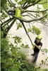 Ryobi OPP 1820 ONE+ Akku-Kettens?ge, 20 cm Schwertl?nge Produktbild-Vorschau 4