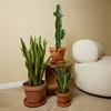 Bloomique - Lot de 2 - Sansevieria Laurentii - Langue de Voir les images du produit 4