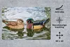 MuchoWow® Schreibtischunterlage Ente - Vögel - Wasser - Produktbild-Vorschau 2