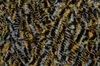 Himalaya Dolphin Animal Colors 83108 Strickgarn Produktbild-Vorschau 6