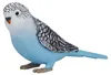 Mojo 387292 Animal Planet pappagallino blu circa 7,5 x 2 x Anteprima dell’immagine prodotto 2