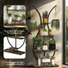 A multi-tiered plant stand with various potted plants displayed on it, set against a wall with some greenery. Náhled obrázku produktu