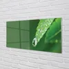 Glasbilder 100x50 Wandkunst Wassertropfenblatt Produktbild-Vorschau 2