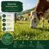 Quecke (Kammquecke), Agropyron cristatum, Inhalt: 1kg für Produktbild-Vorschau 5