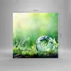 Bilder auf glas - natur natur - 60x60cm - Glasbilder - Produktbild-Vorschau 3