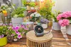 Gardena 13300-20, Czarny Podgląd zdjęcia produktu 35