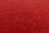 A close-up, textured view of red carpet tiles. Produktbild-Vorschau