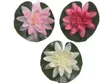 Kunstblumen Lotus 13cm 1 Stück sortiert Produktbild-Vorschau 1