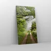 Bild auf Leinwand - Leinwandbild - Pfad Natur Wald Grün - Produktbild-Vorschau 4