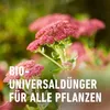 COMPO  Blumendünger 1,3 Liter Produktbild-Vorschau 10