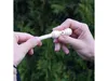 10m hochleistungsnebelsystem O'fresh 063 Produktbild-Vorschau 12
