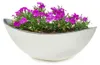 Große Pflanzschale oval 55 cm für draussen Dekoschale Produktbild-Vorschau 1