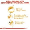 Royal Canin Persian 4 kg Produktbild-Vorschau 9