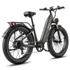 Pedelec mit großem 960 Wh 48 V 20 Ah Akku für lange Touren Produktbild-Vorschau 3
