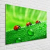 Tulup® Glas-Bild - 100 x 70 - Wandbild aus Glas - Wandkunst Produktbild-Vorschau 2