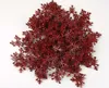 A pile of red snowflake-shaped embellishments on a white background. Náhled obrázku produktu