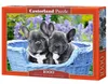 CASTORLAND Puzzle 1000 Elemente Französische Produktbild-Vorschau 2