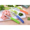 GRÄWE coltello spelucchino 3 pezzi, acciaio inox colorato1 Anteprima dell’immagine prodotto 5
