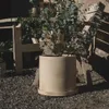 A plant in a pot on gravel next to wooden furniture. Produktbild-Vorschau