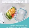 Gourmetmaxx 13755, Set, Obdĺžnikový, Zelená, Priehľadná, Náhľad obrázku produktu 7