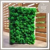 A framed piece of preserved moss art displayed outdoors against a wooden fence. Anteprima dell’immagine prodotto