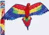 3D-Einleinerdrachen Cora 144x80cm, Ripstop Produktbild-Vorschau 5