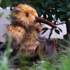 Plüschvogel Kiwi 23 cm umweltfreundlich Produktbild-Vorschau 2