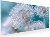 Küchenrückwand Spritzschutz Glas mit Motiv Wassertropfen Produktbild-Vorschau 1