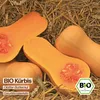 Samenliebe  Kürbis Samen | Glatter Butternut - nussig - Produktbild-Vorschau 4