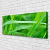 Tulup Leinwand-Bilder 125x50 Wandbild Canvas Kunstdruck Produktbild-Vorschau 2