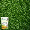 ECODECO Mikroklee Samen 500g Weiß Klee Beschichtete Clover Produktbild-Vorschau 19