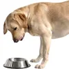 A dog is licking from an empty bowl. Produktbild-Vorschau