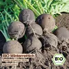 Samenliebe  Rettich Samen | Runder schwarzer Winter - Produktbild-Vorschau 4