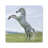 MuchoWow® Mauspad Mousepad Pferd - Aufzucht - Natur 30x30 Produktbild-Vorschau 1