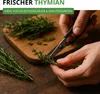 Thymian Deutscher Winter Samen - Thymus vulgaris - Produktbild-Vorschau 7