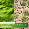 Greenyp Ultimate I Premium RSM Schattenrasen mit 100% RSM Produktbild-Vorschau 4