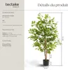 Ficus artificiel FIDA à l'aspect naturel - 120 cm Voir les images du produit 6