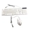 A white USB keyboard and mouse set are displayed against a white background. Anteprima dell’immagine prodotto