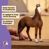 Schleich Correccion de Categoria 14897 in Brown color size Anteprima dell’immagine prodotto 9